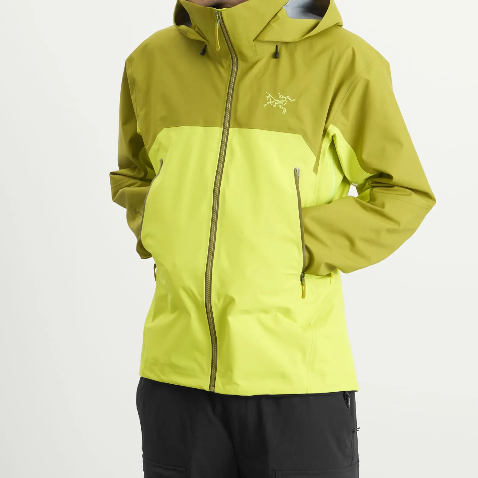 Arc'teryx Beta AR Gore-Tex Jacket