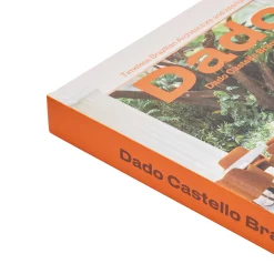 Dado Castello Branco