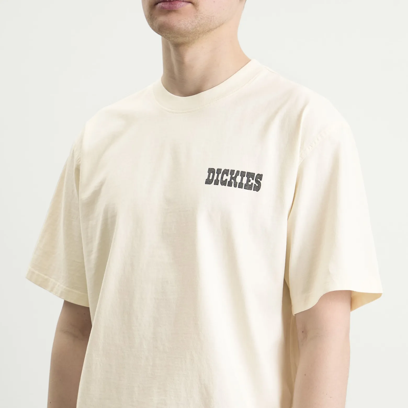 Dickies Buchtell T-Shirt