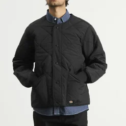 Dickies Samburg Liner Jacket
