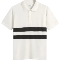 Gimaguas Mister Polo