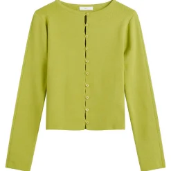 Kijun Button Up Knit Top