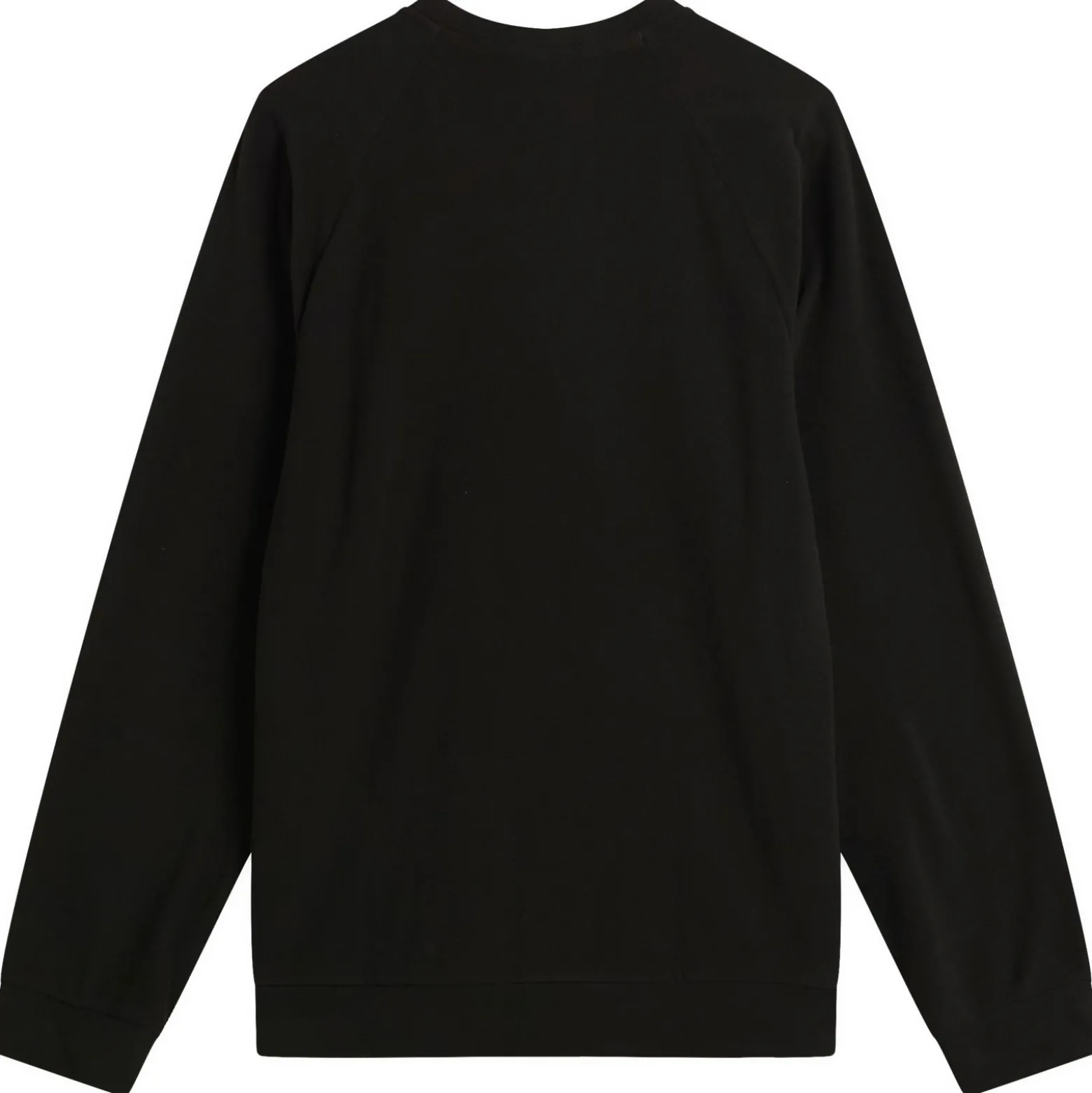 Patagonia Micro D Crewneck Sweatshirt