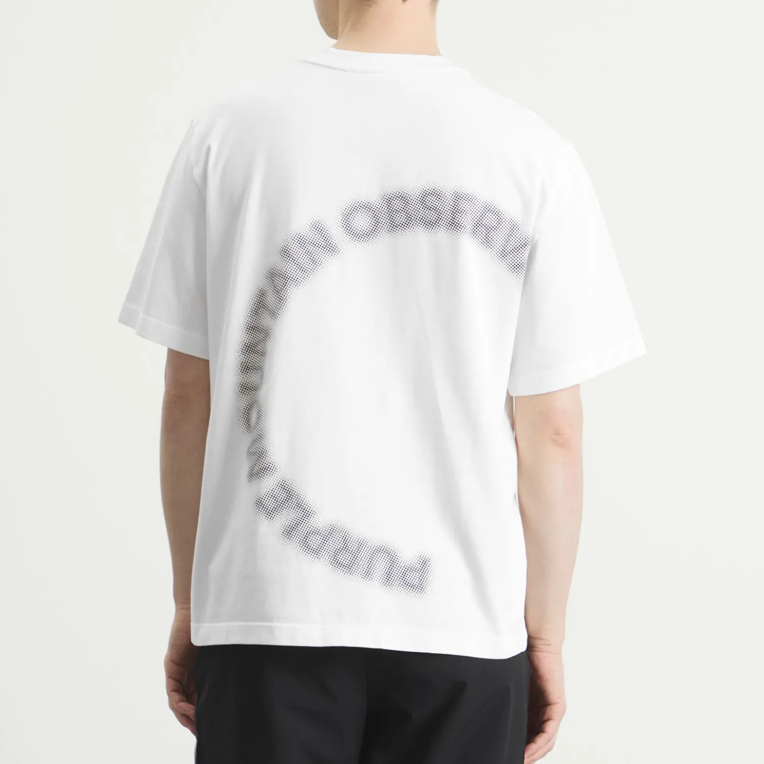 Purple Mountain Observatory Orbital T-Shirt