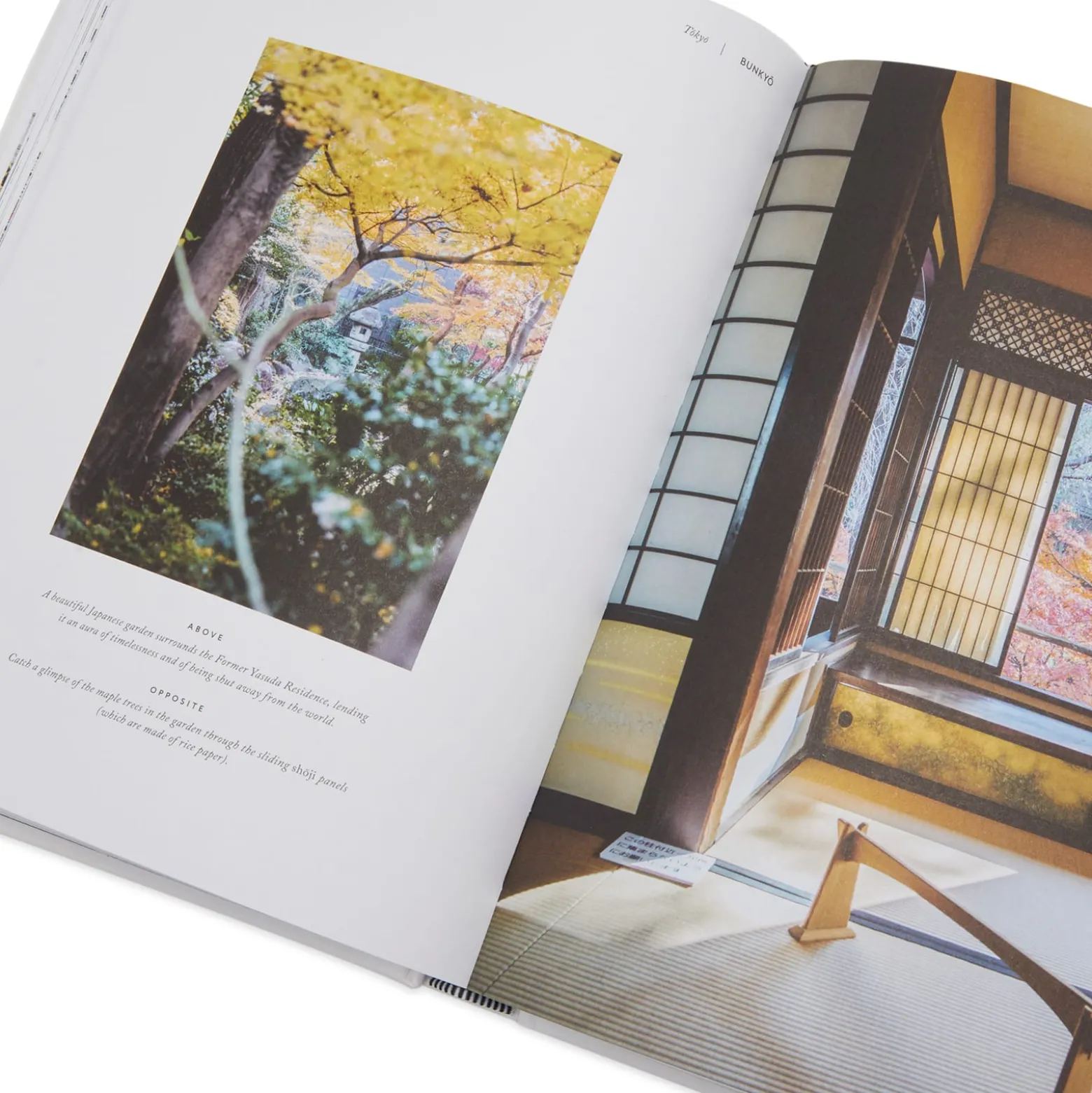 Rizzoli Tokyo: The Extraordinary Guide