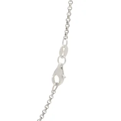 Serge DeNimes Silver Ranch Necklace